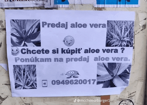 a poster that says predaj aloe vera on the top