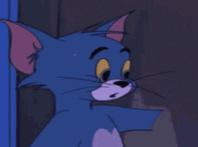 a close up of a cartoon cat with a very angry look on his face