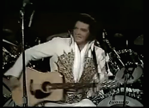 Elvis Presley Concert GIF - Elvis Presley Concert Singer GIFs