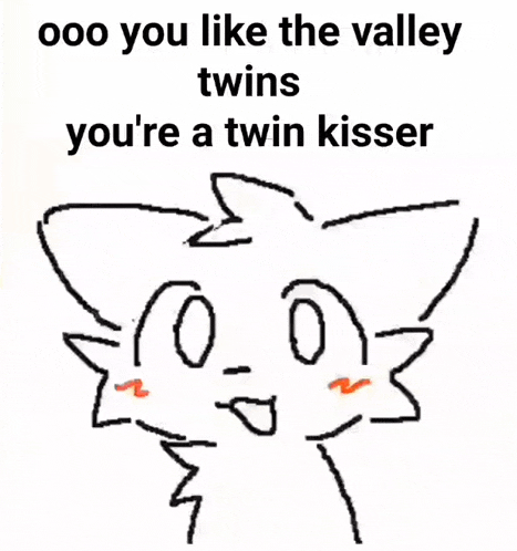 a drawing of a cat with the words " ooo you like the valley twins you 're a twin kisser " below it