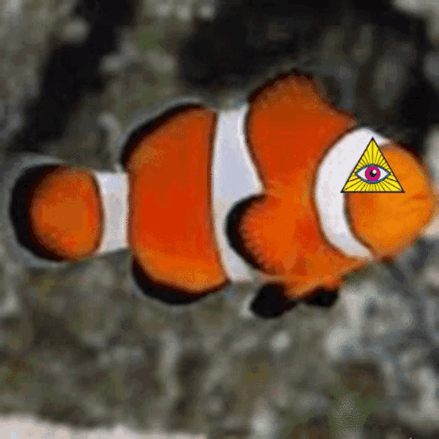 a clown fish with an all seeing eye on it