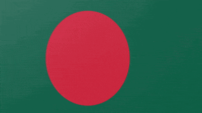 a green flag with a red circle in the center