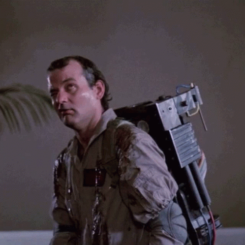 Ghostbusters Huh GIF - Ghostbusters Huh What GIFs