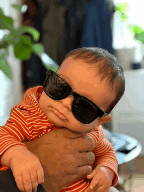 a baby wearing sunglasses is being held in a man 's arms