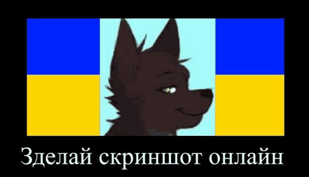 a drawing of a wolf with a blue and yellow background