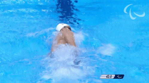 Swimming International Paralympic Committee GIF - Swimming International Paralympic Committee Paralympics GIFs