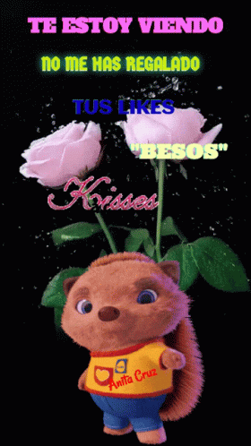 Rosas GIF - Rosas GIFs