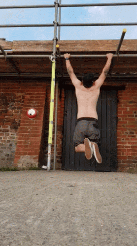 Workout Fitness GIF - Workout Fitness Pull GIFs