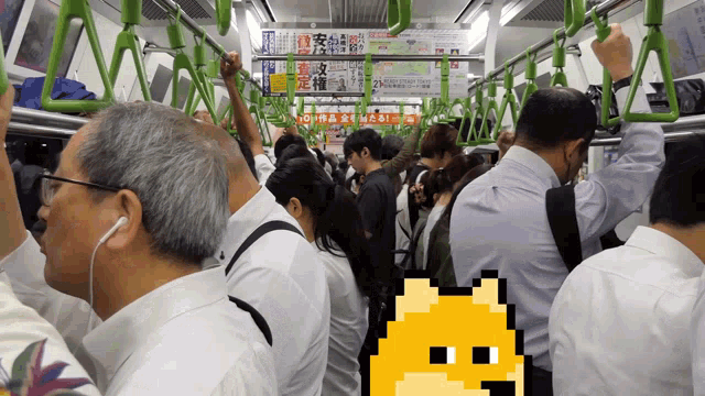a bunch of people on a train with a yellow dog in the middle