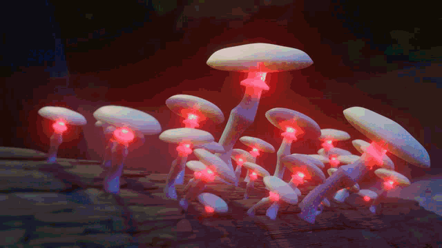 Mushroom Rainbow GIF - Mushroom Rainbow GIFs