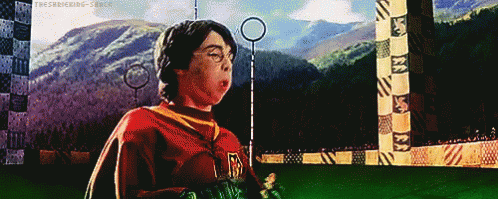 The Golden Snitch Coming Up - Harry Potter GIF - Snitch Golden Snitch Harry Potter GIFs