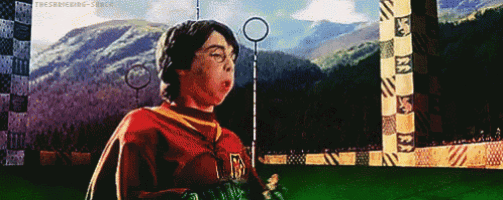 harry potter is playing a game of quidditch in a pixelated image