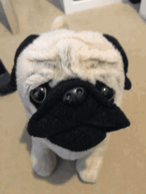 a stuffed pug dog is sitting on the floor and looking up at the camera