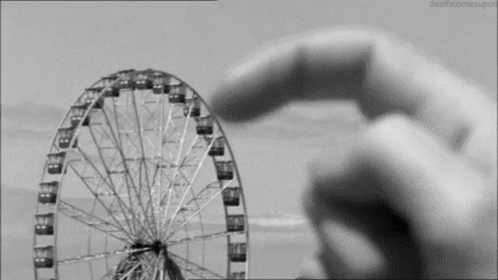 Ferris Wheel Amusement Ride GIF