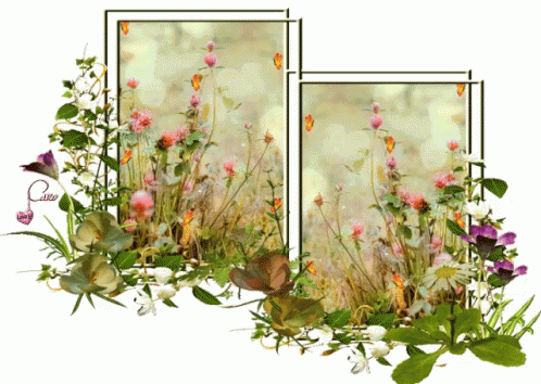 Spring Flowers GIF - Spring Flowers Butterfly GIFs