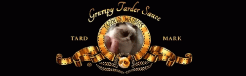 Grumpy Cat Grumpy Tarter Sauce GIF - Grumpy Cat Grumpy Tarter Sauce GIFs