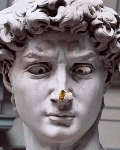 To Bee Or Not To Bee That Is The Question GIF - To Bee Or Not To Bee That Is The Question GIFs