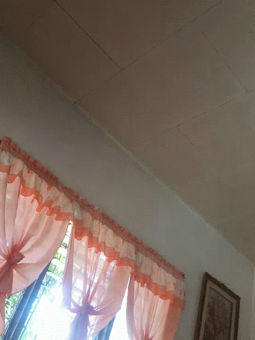 Curtain Bored GIF - Curtain Bored At Home GIFs