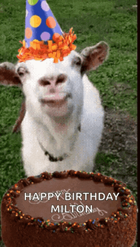 a goat wearing a party hat is standing in front of a cake that says happy birthday milton