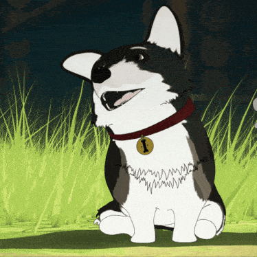 a black and white dog with a red collar and a tag that says 1