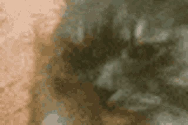 a blurred image of a brown and green background with smoke coming out of it