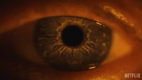 Eyes Dilating Guillermo Del Toros Cabinet Of Curiosities GIF - Eyes Dilating Guillermo Del Toros Cabinet Of Curiosities Wide Eyed GIFs