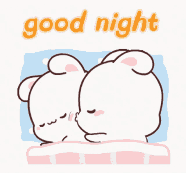 two rabbits are sleeping next to each other and the words good night are above them .