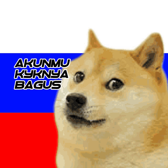 a dog with the words akunmu kyknja bagus written on it