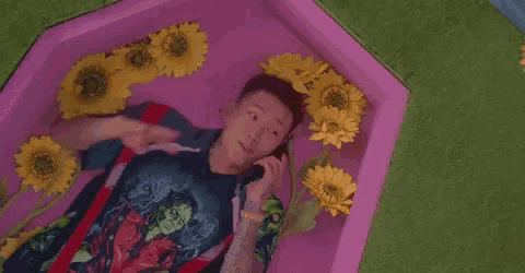 a young man is laying in a pink coffin surrounded by sunflowers while talking on a cell phone .
