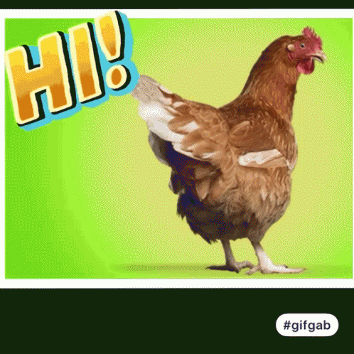 Hey Chickity GIF - Hey Chickity GIFs
