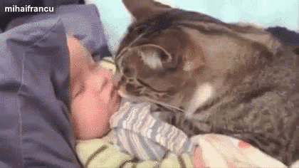 a cat is licking a baby 's face while the baby is sleeping in a bed .