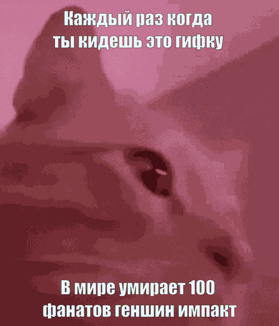 a picture of a cat with a foreign language caption