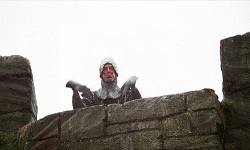 Monty Python The Holy Grail GIF - Monty Python The Holy Grail French Guard GIFs