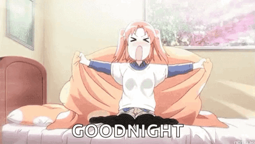 Anime Animu GIF - Anime Animu Goodnight GIFs