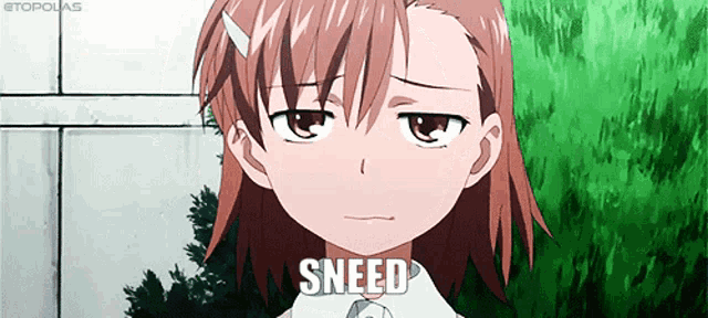 a cartoon girl with the word sneed written on the bottom