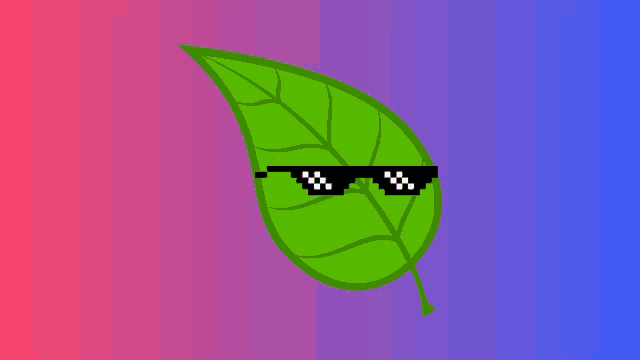 a green leaf is wearing sunglasses on a purple and pink background