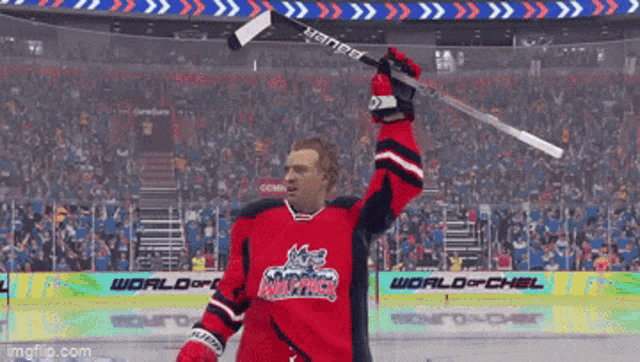 a hockey player in a world of chel jersey holds up his stick in the air