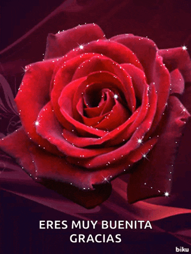 a red rose with the words eres muy buenita gracias