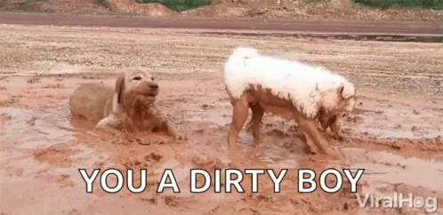 Digging Dog Mud GIF - Digging Dog Mud Dogs GIFs