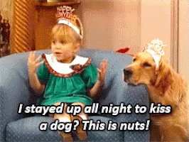 Michelle I Stayed Up All Night To Kiss A Dog This Is Nuts GIF - Michelle I Stayed Up All Night To Kiss A Dog This Is Nuts Full House GIFs