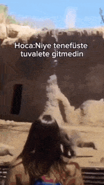 Sa Beyler GIF