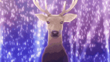 a deer is standing in front of a purple and blue background .