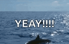 a dolphin is swimming in the ocean with the words yeay !!!