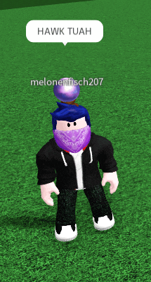 a roblox character named hawk tuah has a purple hat on his head