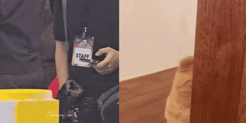 a man with a name tag that says staff is standing next to a cat on a wooden floor .
