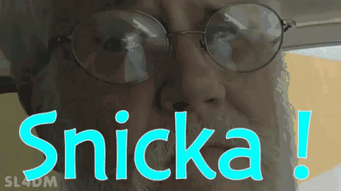 a man with glasses and a beard says snicka in blue