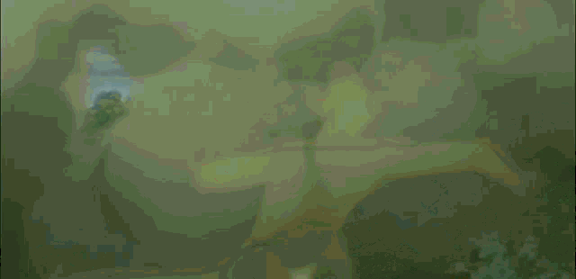 a cartoon character is flying through the air in front of a forest .