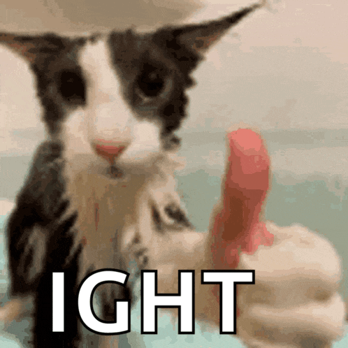 a black and white cat is giving a thumbs up with the word ight in the foreground