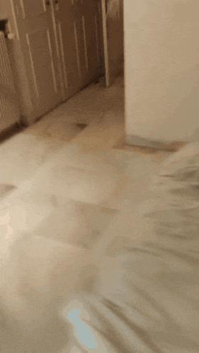 a blurred image of a person standing on a bed in a room