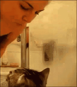 Cat Woman GIF - Cat Woman Love GIFs